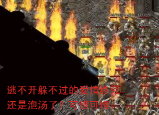 �Ӳ����㲻���İ����վ����������ˣ���ϧ��ϧ��