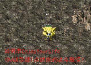 �����EnjoyYourLife(DJս���)��ȼ���ս�����飿