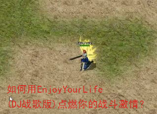 �����EnjoyYourLife(DJս���)��ȼ���ս�����飿