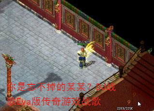������������ĳĳ��DJս��Eva�洫����Ϸս��