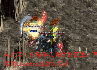 ����û�����������ĺùµ���������Electroս��DJ�㲼
