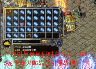 ��ͩ���봺���ʱ���Ծ���2025�������MCս������ս����