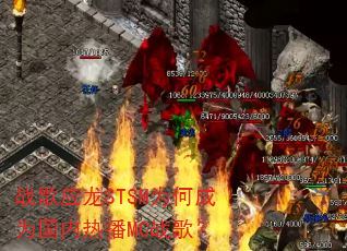 ս��Ӧ��STSMΪ�γ�Ϊ�����Ȳ�MCս�裿