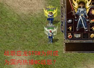 ս��Ӧ��STSMΪ�γ�Ϊ�����Ȳ�MCս�裿