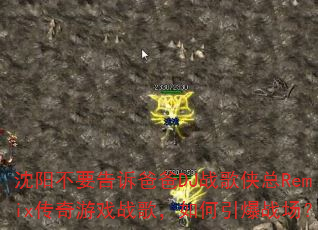 ������Ҫ���ְ߰�DJս������Remix������Ϸս�裬�������ս����