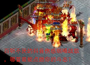 ��������Ķ����˸���ɤս�裬�������ܵ�ȼ��Ķ�־��
