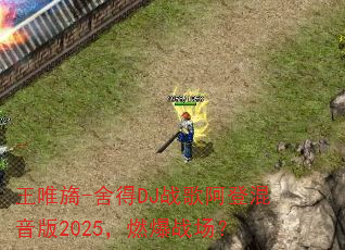 ��Ψ�-���DJս�谢�ǻ�����2025��ȼ��ս����