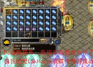 DJս���㲼���߶˳��ذ������������㲻�������ҵİ�LakHouse����������Ϸս�����