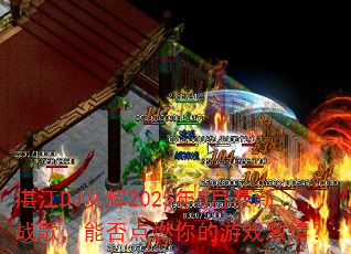 տ��DJ�Ļ�2025��5������ս�裬�ܷ��ȼ�����Ϸ���飿