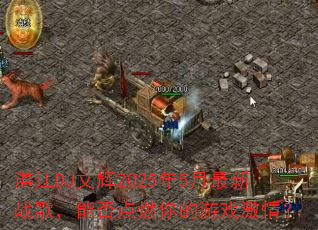 տ��DJ�Ļ�2025��5������ս�裬�ܷ��ȼ�����Ϸ���飿