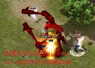 ����������ս��VinaHouse��DJ�㲼�����˷�ս��