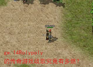 gw.14Rolypoly�Ĵ�����Ϸս�辿���ж�ȼ��