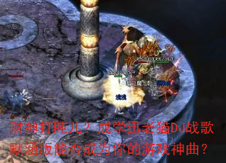������������ѧѸ��èDJս��Ĭ�����ܷ��Ϊ�����Ϸ������
