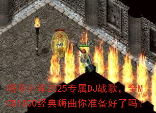 �˸�С��2025ר��DJս�裬ȫMCDISCO����������׼��������