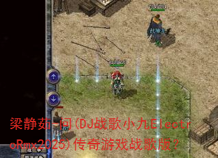 ������-��(DJս��С��ElectroRmx2025)������Ϸս��棿