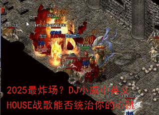 2025��ը����DJС����Ӣ��HOUSEս���ܷ�ͳ���������