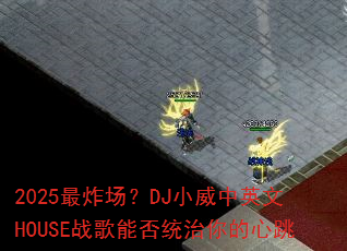 2025��ը����DJС����Ӣ��HOUSEս���ܷ�ͳ���������