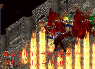 DJս��Ҷ�У�ȫӢ�ĵ�������Ϊ�����˰������᣿
