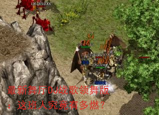 ��������DJս������棺����˾����ж�ȼ��