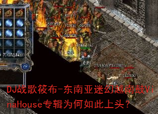 DJս���㲼-�������Ի�Խ�Ϲ�VinaHouseר��Ϊ�������ͷ��