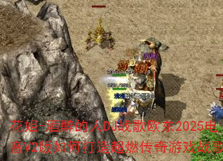 ����-��������DJս��ŷ��2025����V2����δ��쳬ȼ������Ϸս�裿